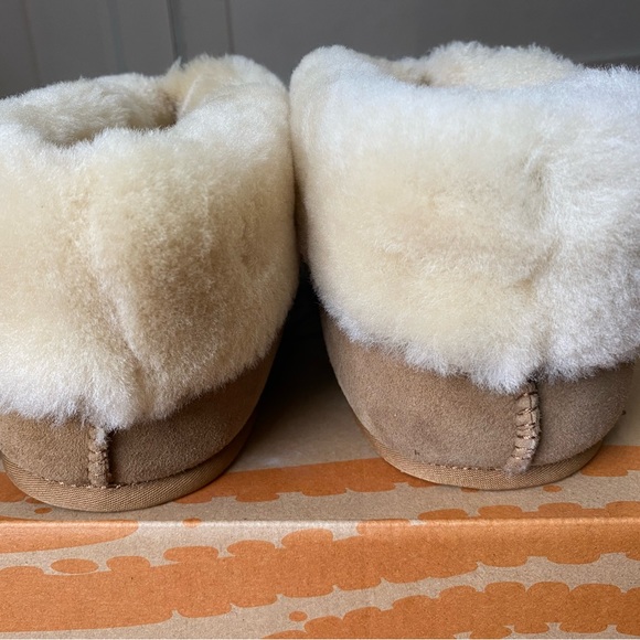 Australian sheepskin shearling wool slippers - Picture 4 of 9